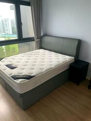 The Lakefront Residences (D22), Condominium #501595911